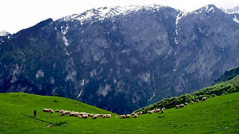 rugova valley