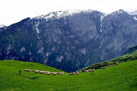 rugova valley