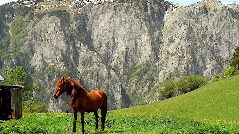 Rugova Valley - Kosovo Peje
