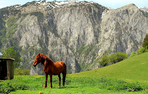 Rugova Valley - Kosovo Peje