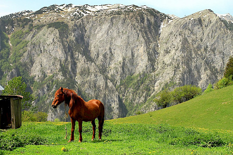 Rugova Valley - Kosovo Peje
