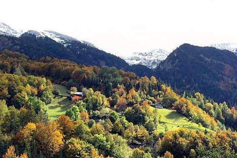 rugova1