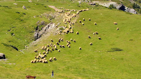 Gjeravica Peak Highest peak Kosovo