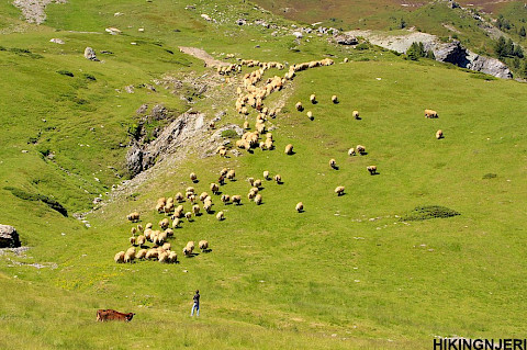 Gjeravica Peak Highest peak Kosovo