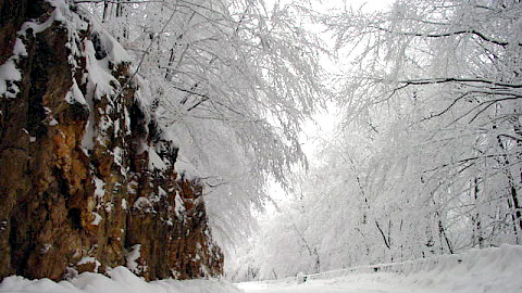 Prevalla National Park Prizren