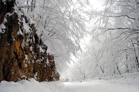 Prevalla National Park Prizren