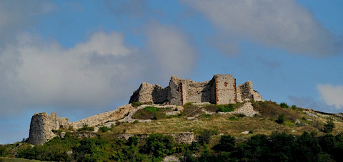 Artana (Novoberda) Municipality