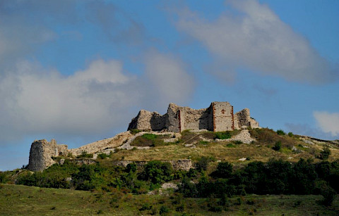 Artana (Novoberda) Municipality