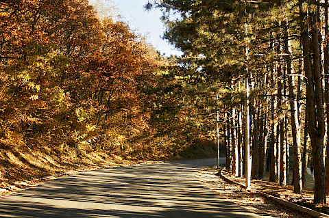 Germia national park prishtina