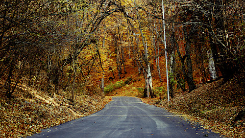 Germia national park prishtina