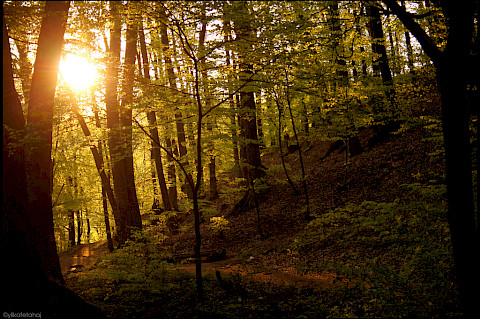 Germia national park prishtina