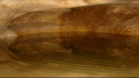Marble Cave / Shpella e Gadimes