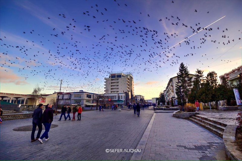 zekaj tours skenderaj